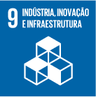 9 - Industria, Inovação e Infraestrutura